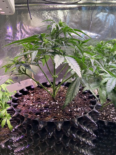 Growreport Bild 18