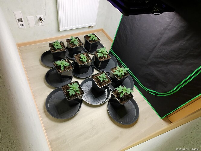 Growreport Bild 27