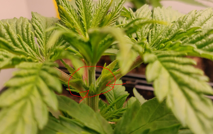 Growreport Bild 12