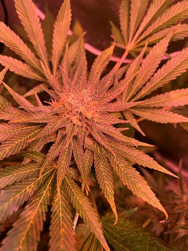 Growreport Bild 10