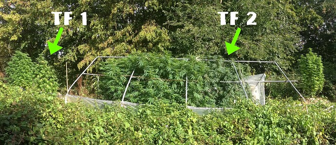 Growreport Bild 19