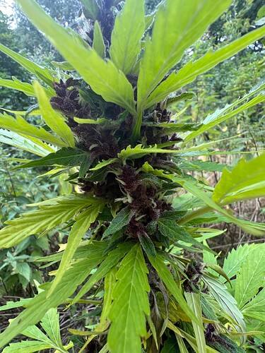 Growreport Bild 12