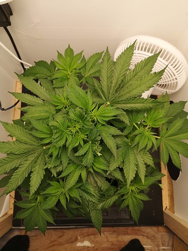 Growreport Bild 5