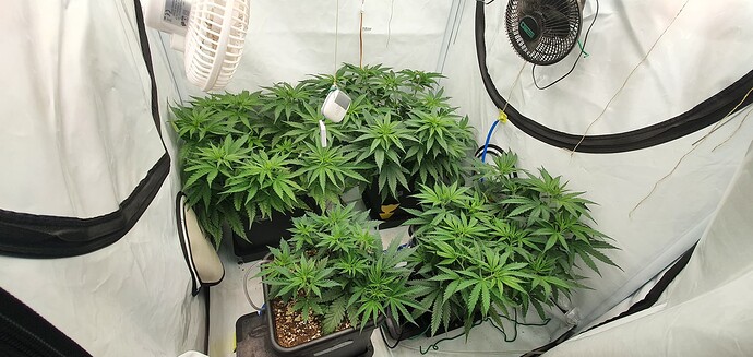 Growreport Bild 22