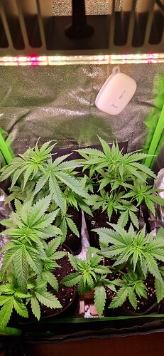 Growreport Bild 1