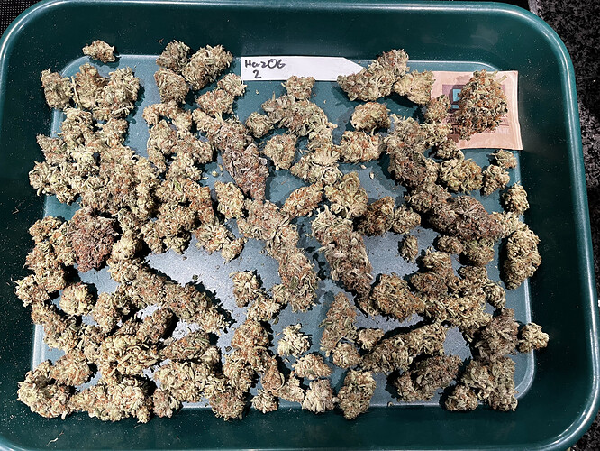 Growreport Bild 6