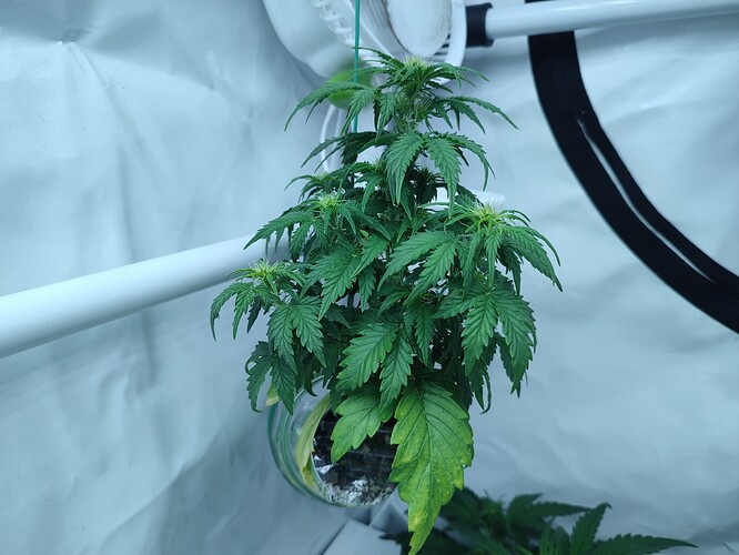 Growreport Bild 21