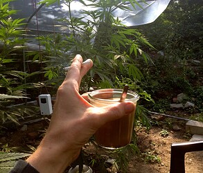 073_morgens_9uhr30kaffee