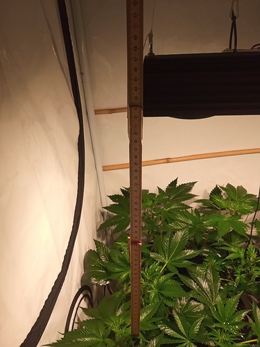 Growreport Bild 10