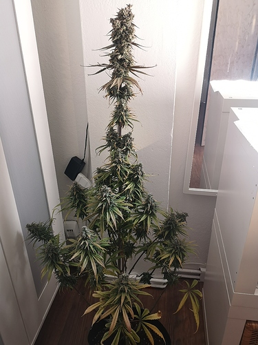 Growreport Bild 8