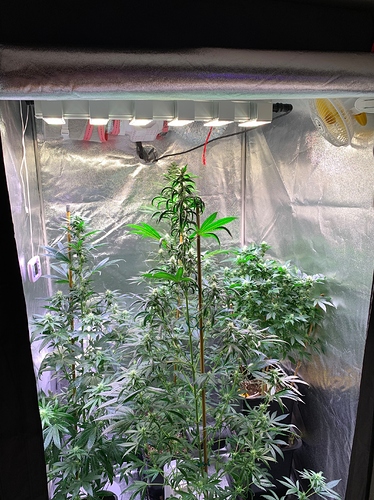 Growreport Bild 3