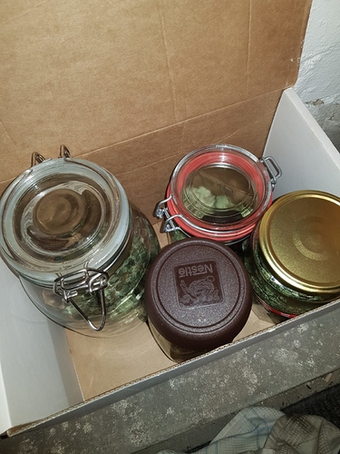 Growreport Bild 4