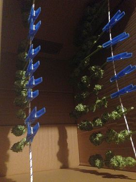 Growreport Bild 19