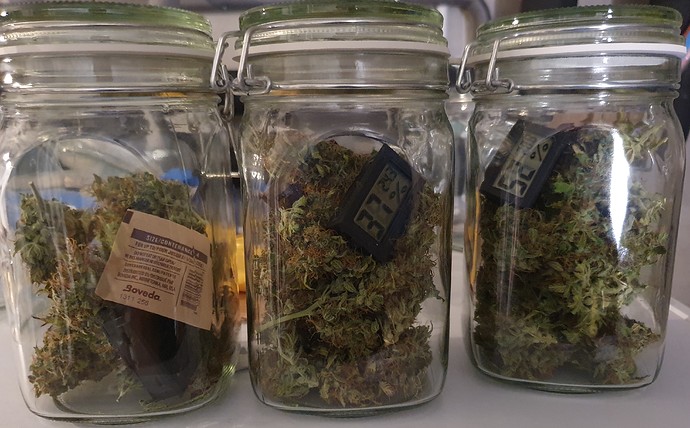 Growreport Bild 22