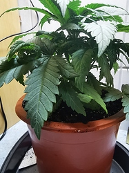 Growreport Bild 10