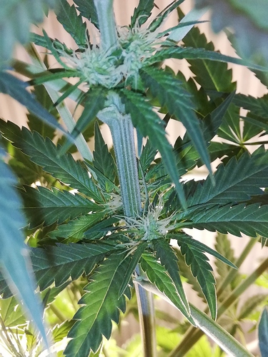 Growreport Bild 2