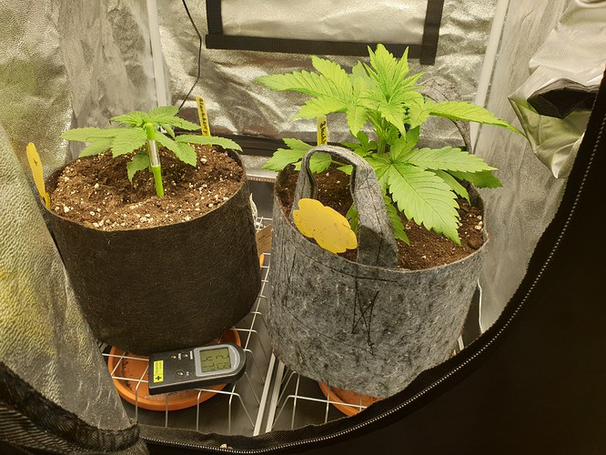 Growreport Bild 12