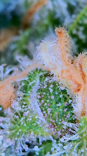 Growreport Bild 10