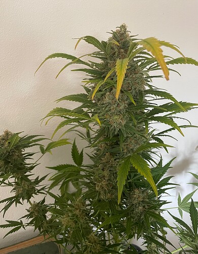 Growreport Bild 21