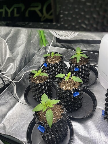 Growreport Bild 15