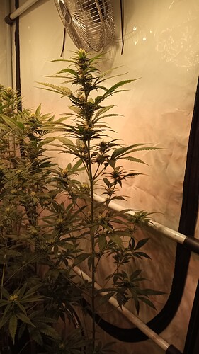 Growreport Bild 13