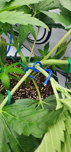 Growreport Bild 11
