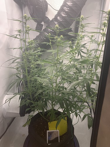 Growreport Bild 2