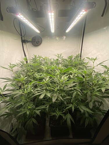Growreport Bild 2