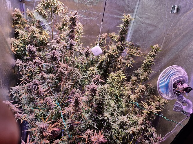 Growreport Bild 8
