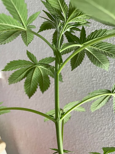 Growreport Bild 26