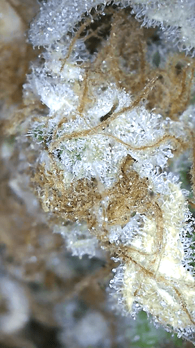 Growreport Bild 22