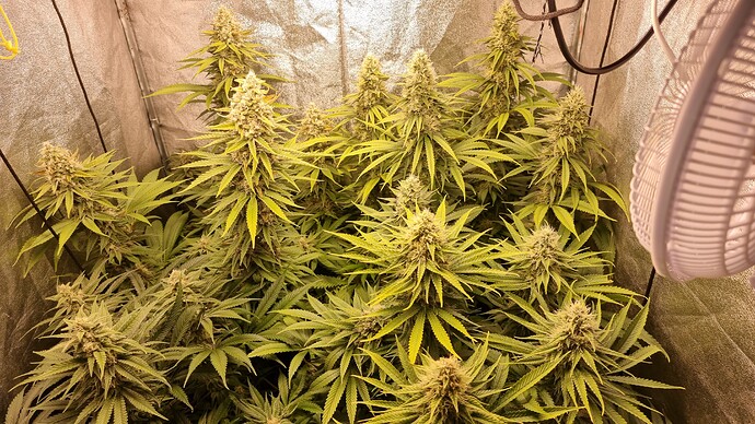 Growreport Bild 10