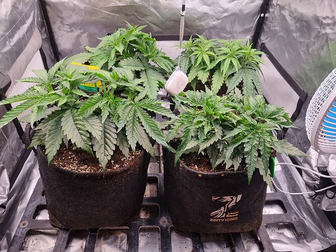 Growreport Bild 15