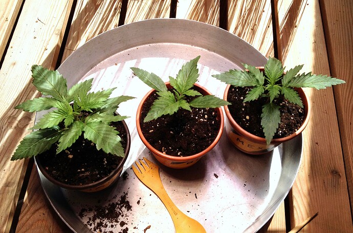 070_SiebterSiebter_23