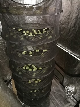 Growreport Bild 55