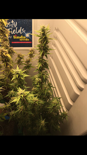 Growreport Bild 13