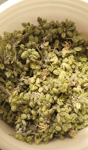 Growreport Bild 20