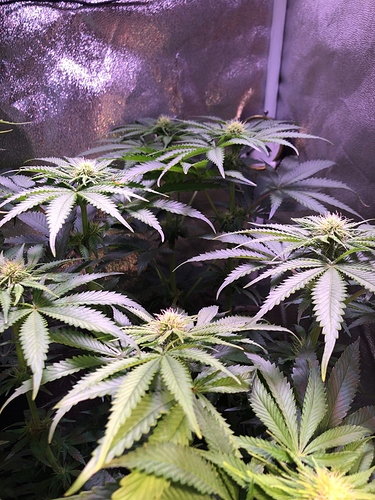 Growreport Bild 21