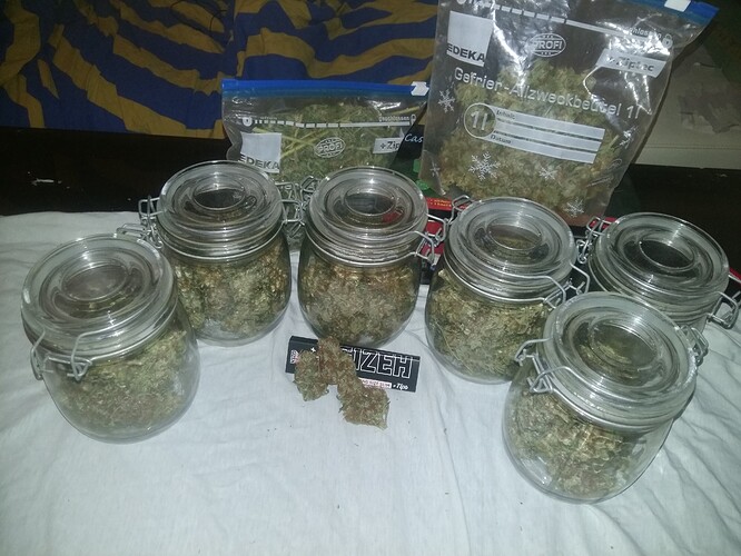 Growreport Bild 2