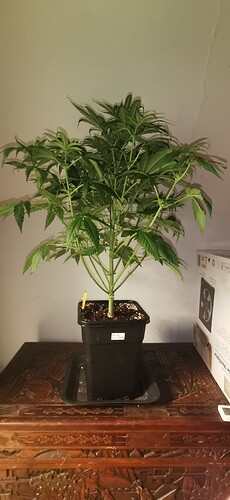 Growreport Bild 12