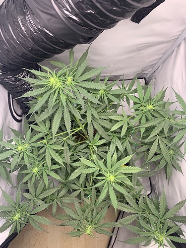 Growreport Bild 17