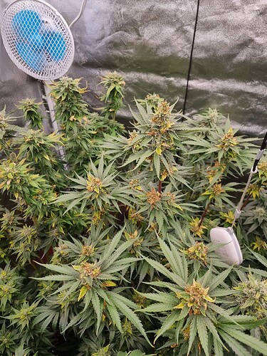 Growreport Bild 26