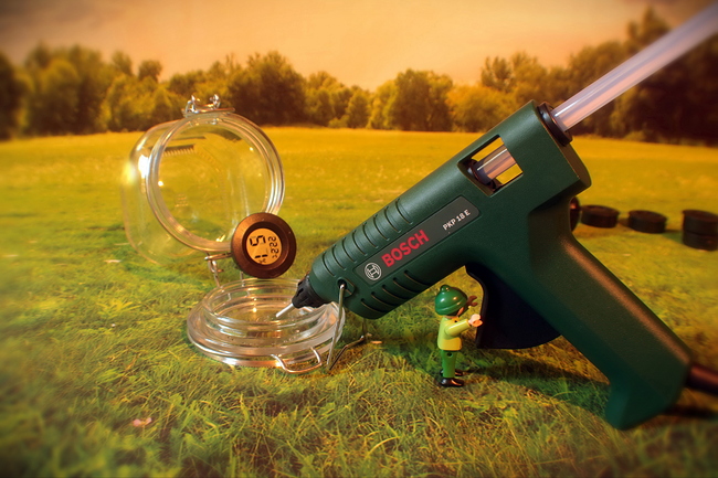 Growreport Bild 24