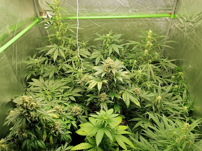 Growreport Bild 2