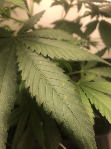 Growreport Bild 12