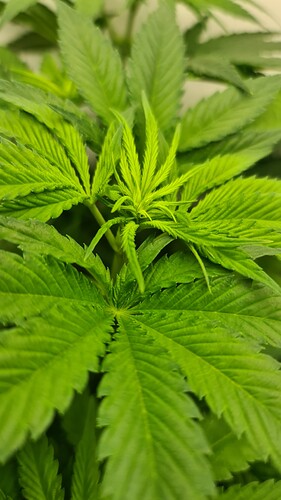 Growreport Bild 10