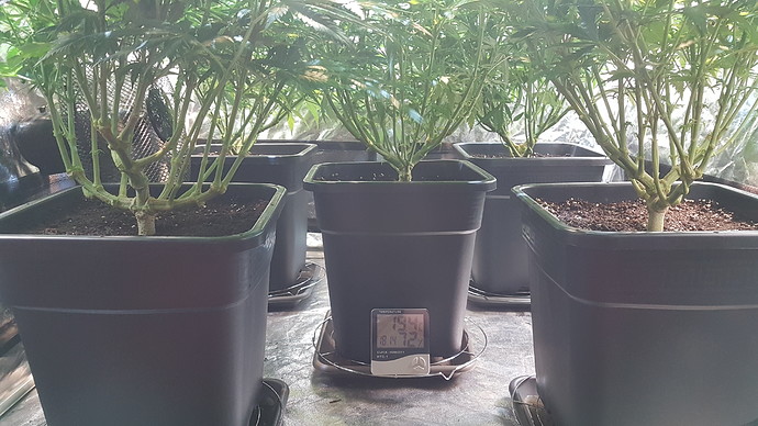 Growreport Bild 4