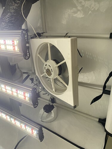 Growreport Bild 11