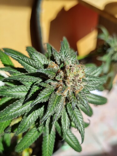Growreport Bild 15