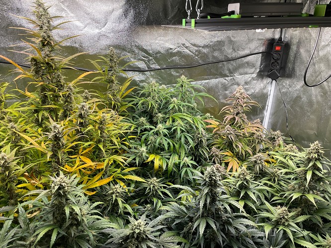 Growreport Bild 13